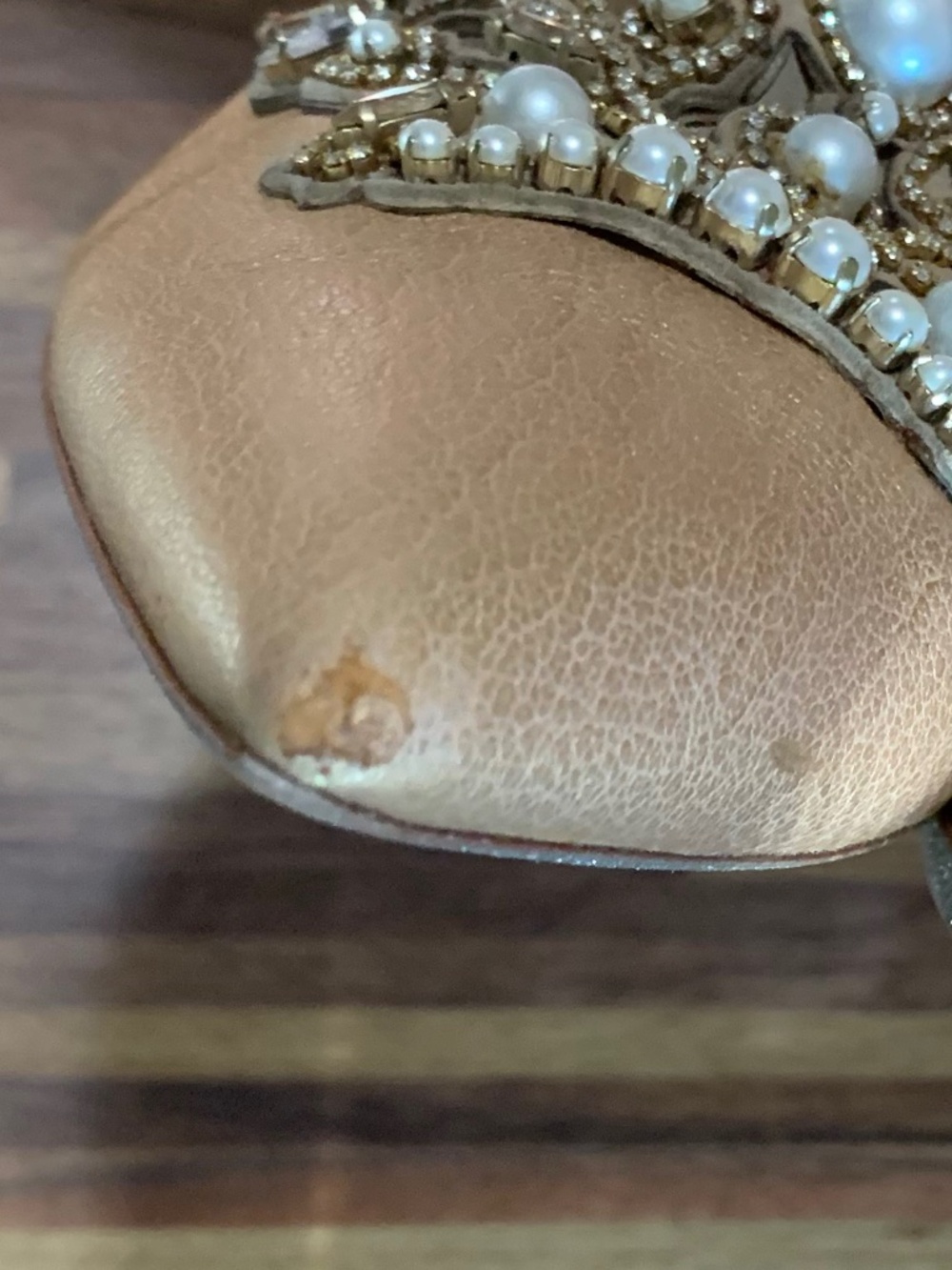 Rene Caovilla Embellished Champagne Heels - Picture 12 of 15